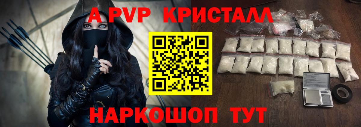 A PVP СК КРИС Котлас