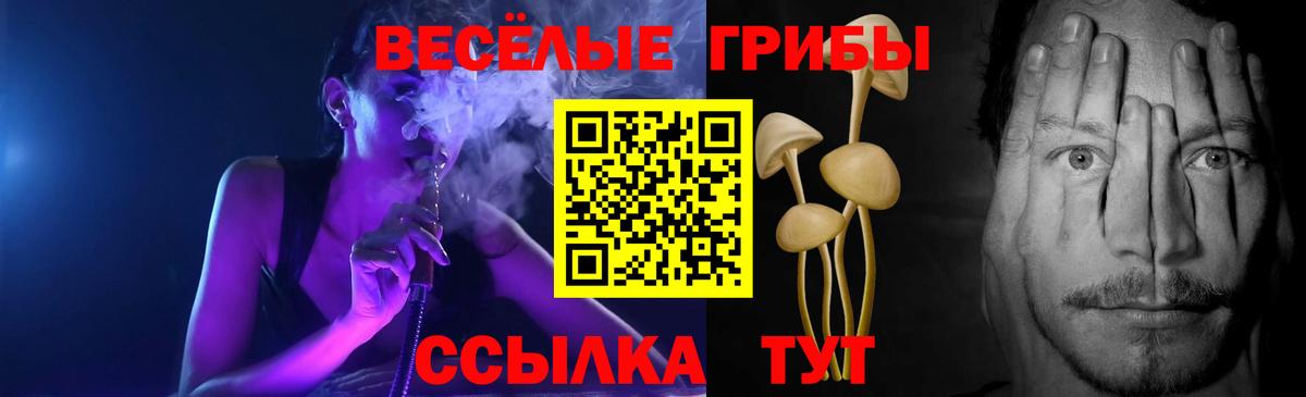 Галлюциногенные грибы Psilocybine cubensis  закладки  Котлас  Вход с VPN  Галлюциногенные грибы GOLDEN TEACHER 